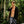 Mens Pineapple Shorts Mid Length
